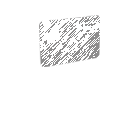 Immigration & Visa